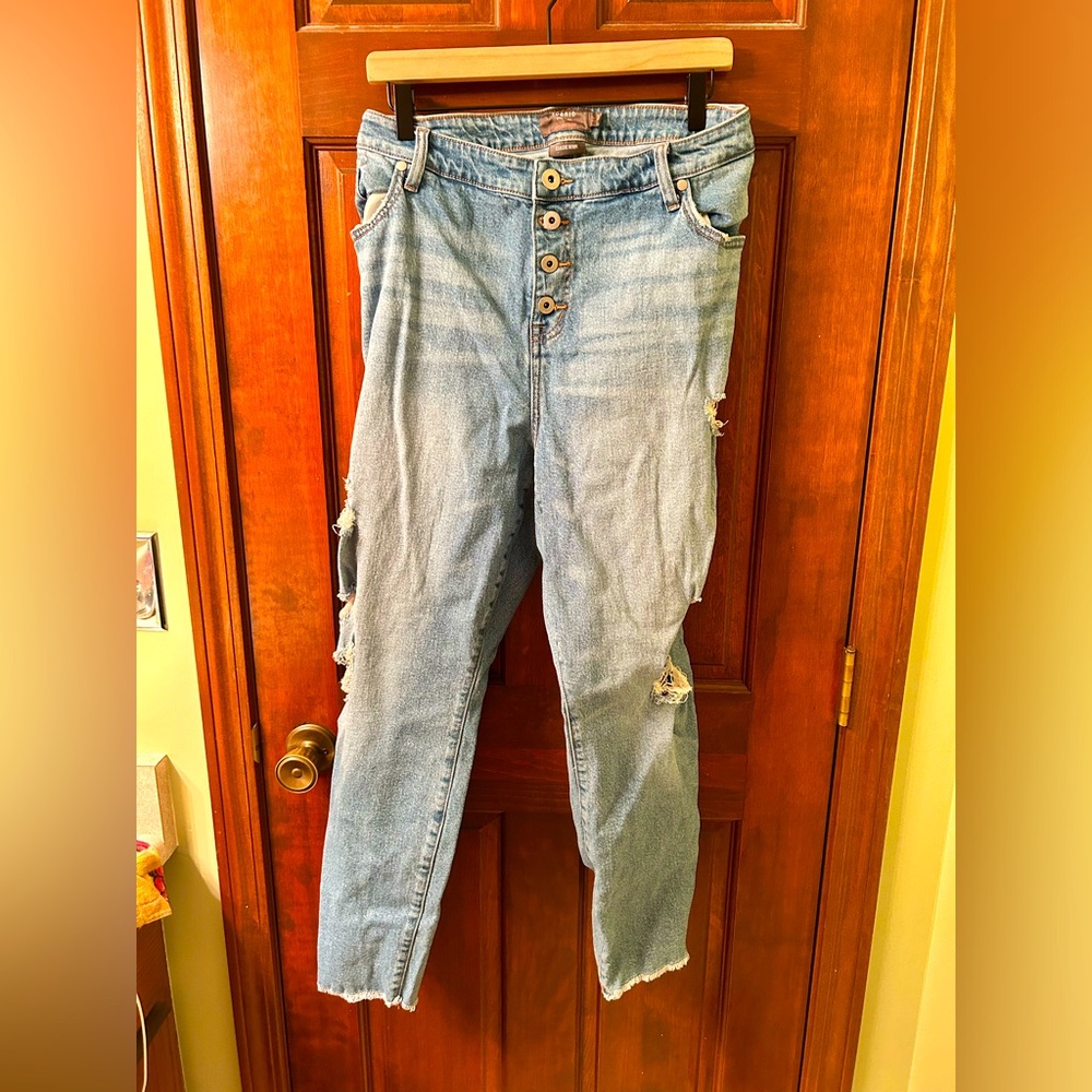 TORRD Distressed Cropped Boyfriend jeans with button fly. Size 24.